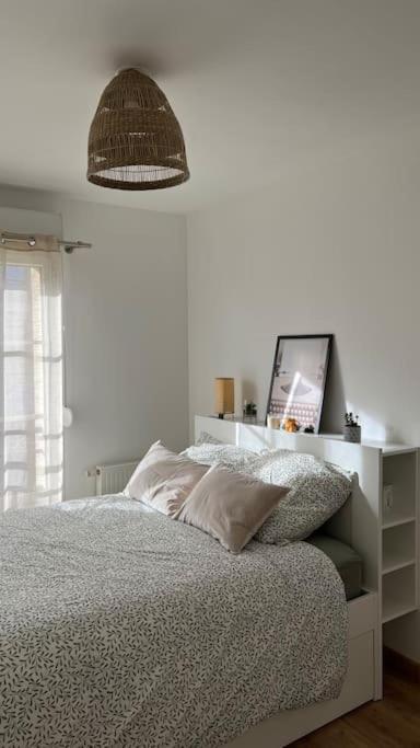 Le Nid Champenois Apartment Reims Bagian luar foto